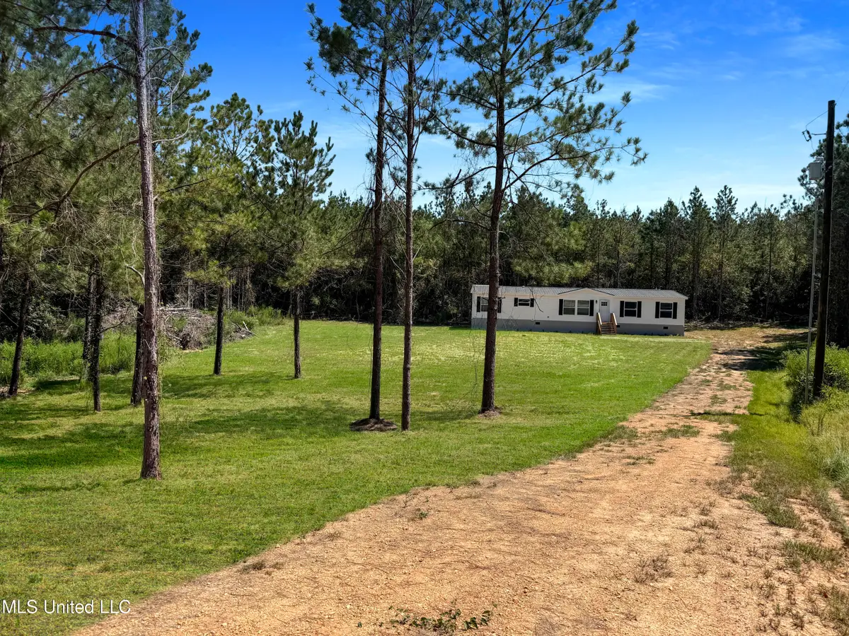 108 Brumley Lane, Mize, MS 39116 - Image #1