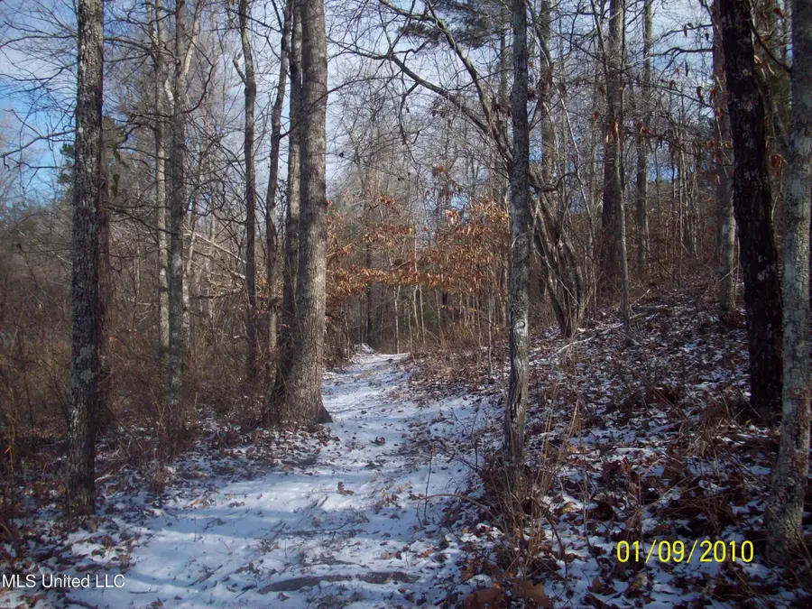 County Road 413, Oxford, MS 38655 - Image #2