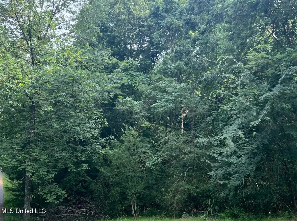 0 Ms-315, Sardis, MS 38666 - Image #1