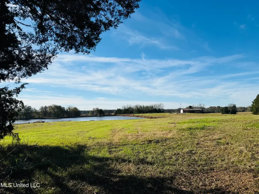 Mississippi 35, Kosciusko, MS 39090 - Image #2