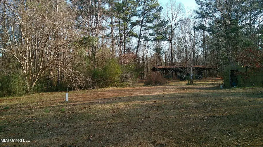 Hwy 9, Blue Springs, MS 38828 - Image #2