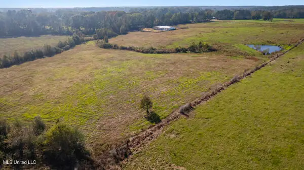 2545 SE Pleasant Grove Road, Bogue Chitto, MS 39629 - Image #1