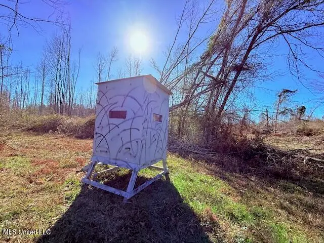 40 Clarence Bullock Road, Tylertown, MS 39667 - Image #2