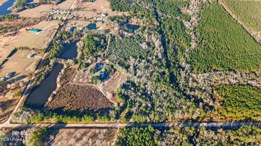 Savannah Millard Road, Poplarville, MS 39470 - Image #2