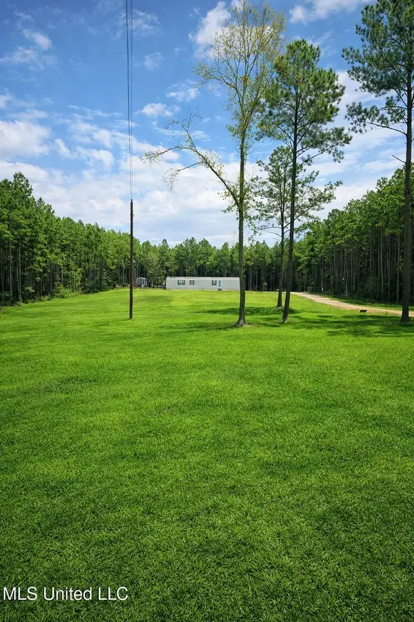 3774 Mississippi 550, Wesson, MS 39191