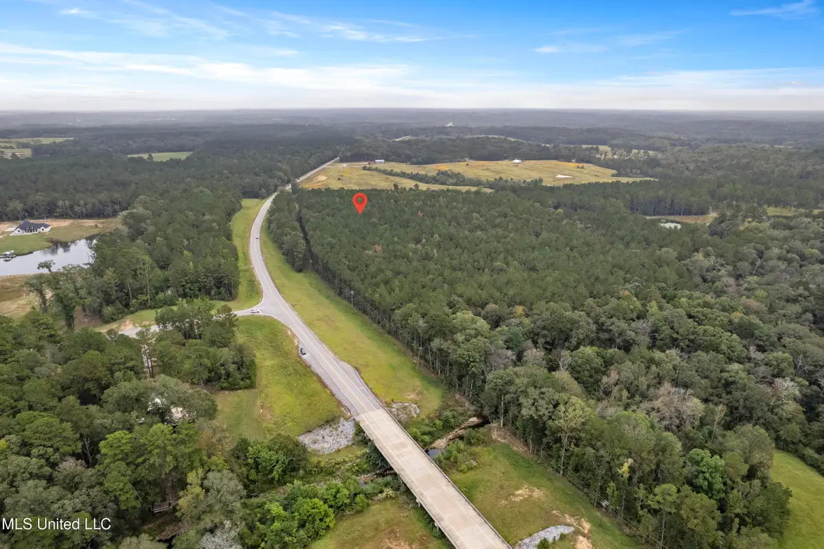 Parcel B Highway 42, Richton, MS 39476 - Image #1