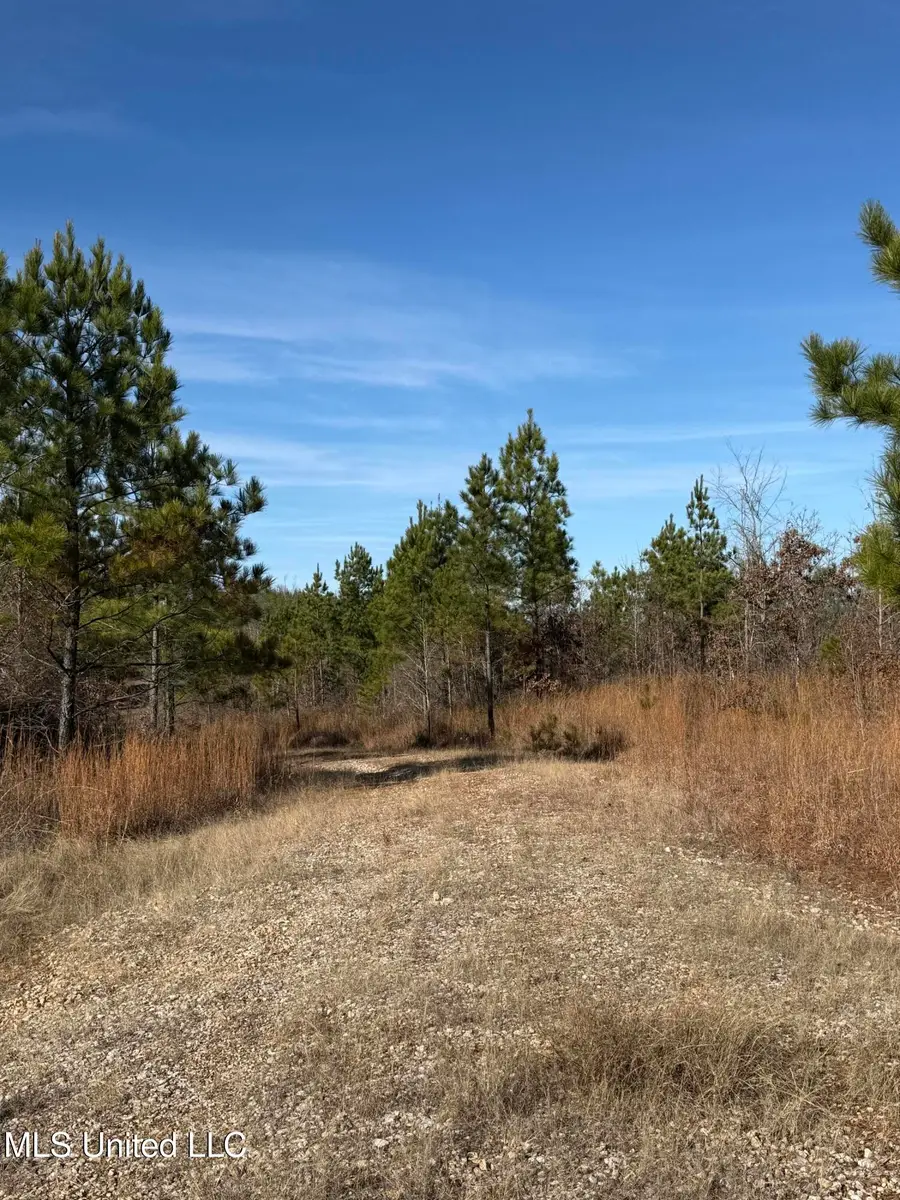 Cr 70, Woodland, MS 39776 - Image #3