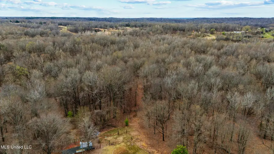 247 Sandy Branch Road, Sarah, MS 38665 - Image #3