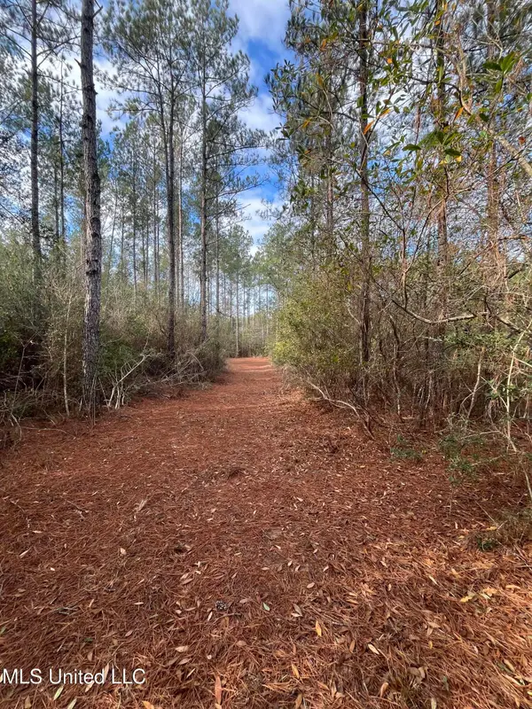 40 Acres Off Deep Creek Road, Wiggins, MS 39577
