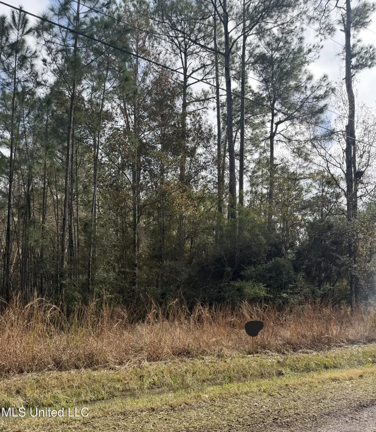 0 Smith Street, Bay Saint Louis, MS 39520 - Image #1