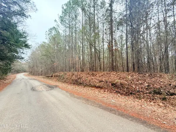 Firetower Road, Camden, MS 39045