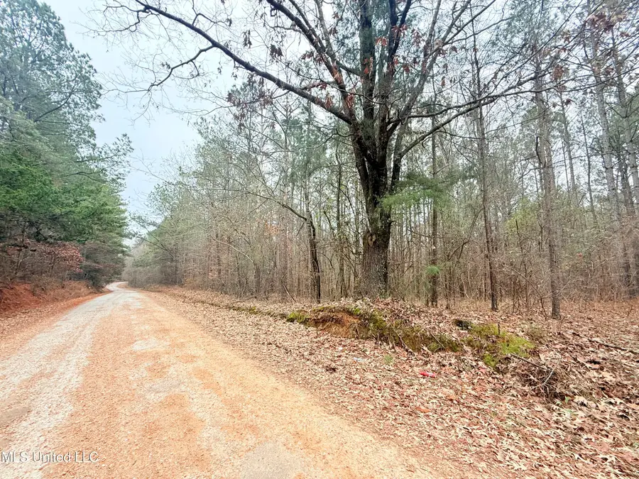 Firetower Road, Camden, MS 39045 - Image #2