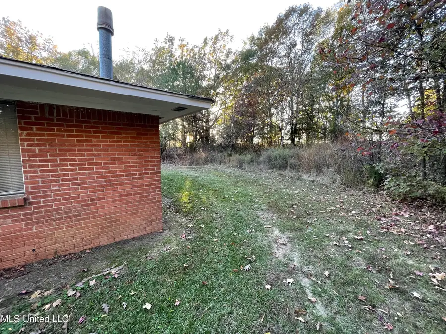 3648 Molestage Slack Road, Pickens, MS 39146 - Image #3