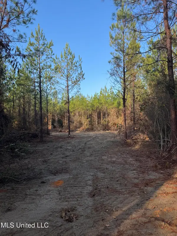 Pat Hickman Road, Perkinston, MS 39573