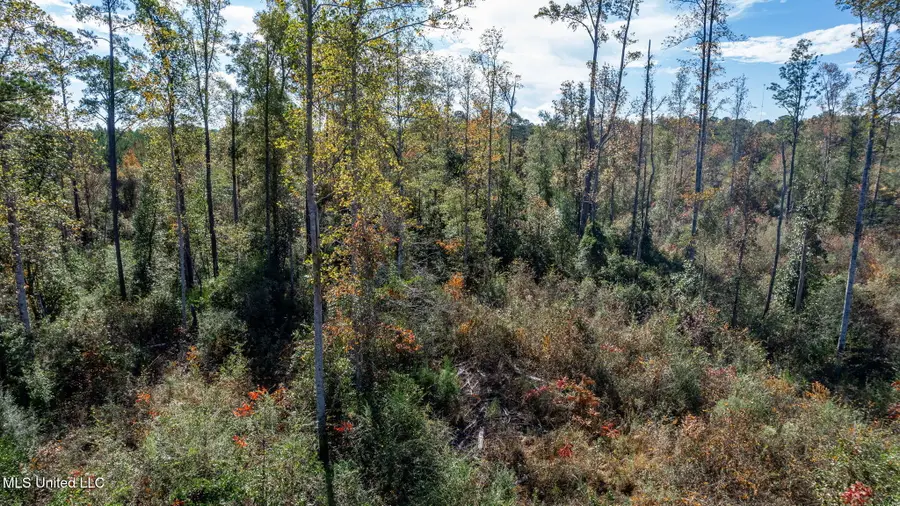 36.08 +/- Acres Placid Drive, Sumrall, MS 39482 - Image #2