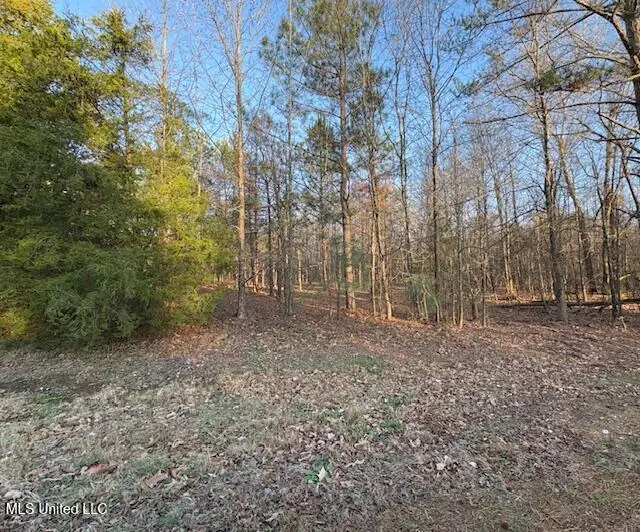 1397 Gravel Springs Road, Senatobia, MS 38668 - Image #2