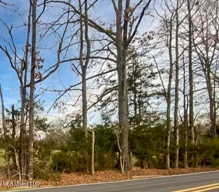 1178 Stump Ridge Road, Brandon, MS 39047 - Image #1