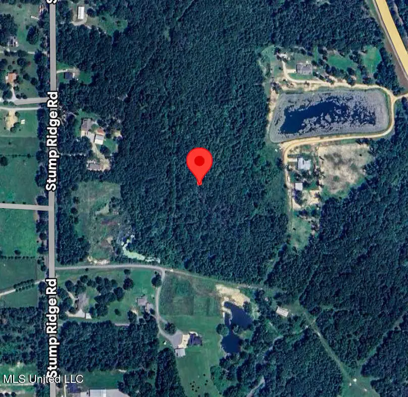 1178 Stump Ridge Road, Brandon, MS 39047 - Image #3