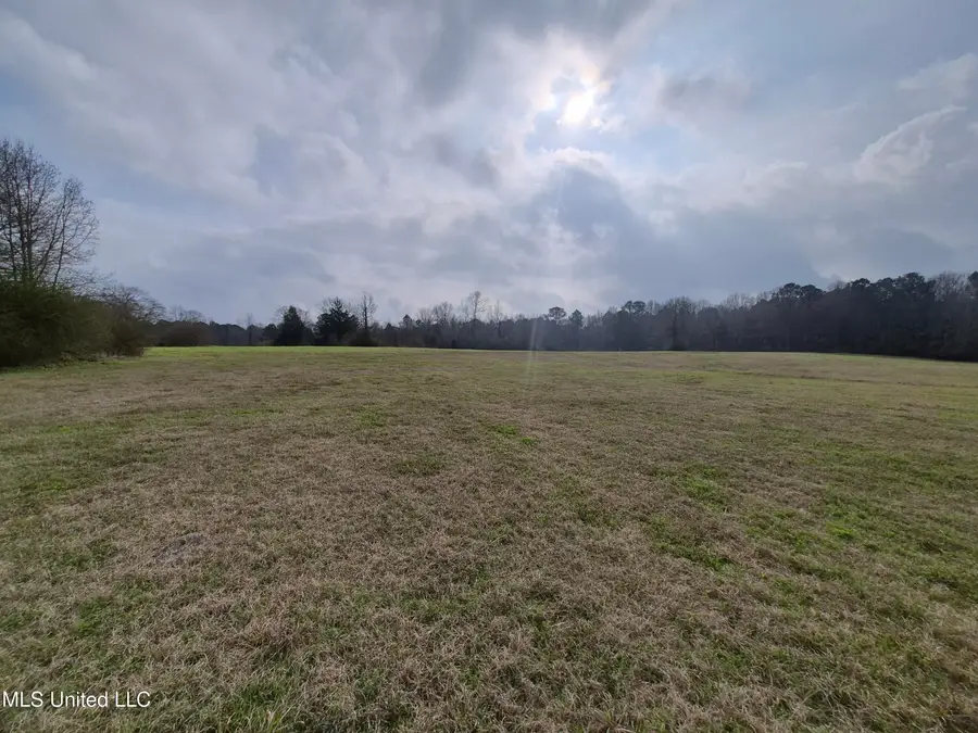 Pine Grove Road, Walnut Grove, MS 39189 - Image #3