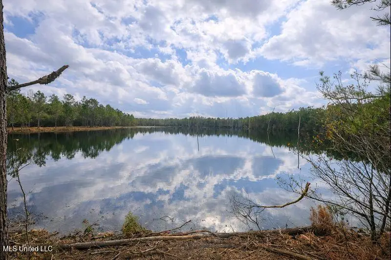 21120 Road 311, Kiln, MS 39556 - Image #3