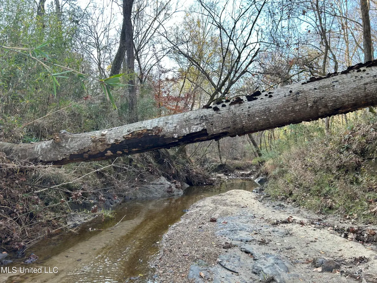 Henderson Road, Bentonia, MS 39040 - Image #1