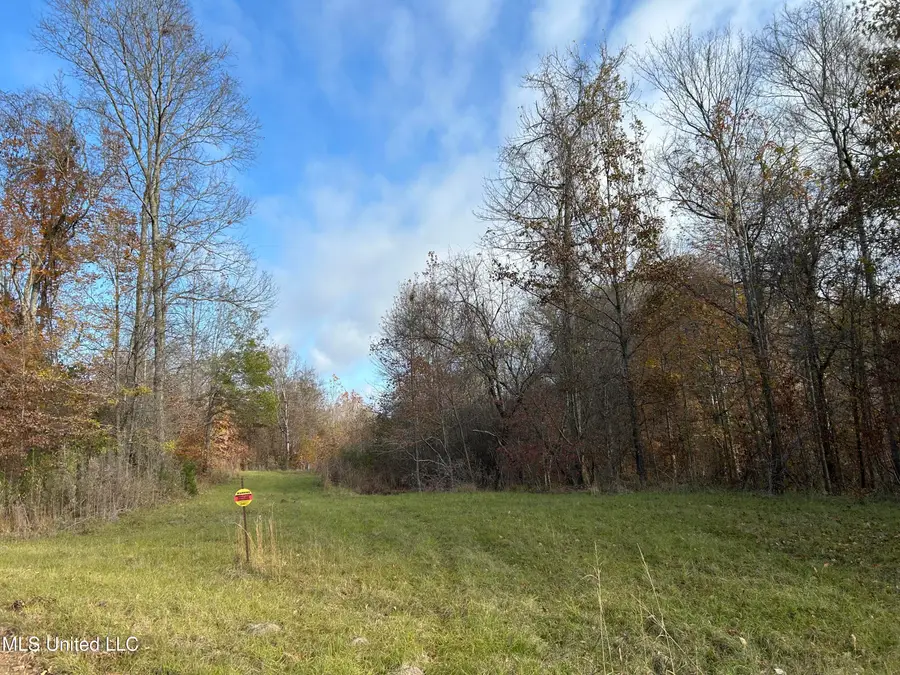 Henderson Road, Bentonia, MS 39040 - Image #3