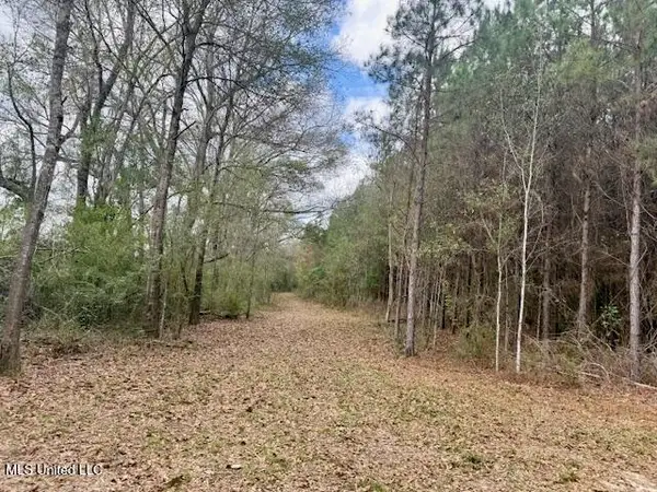Military Road, Sandy Hook, MS 39478