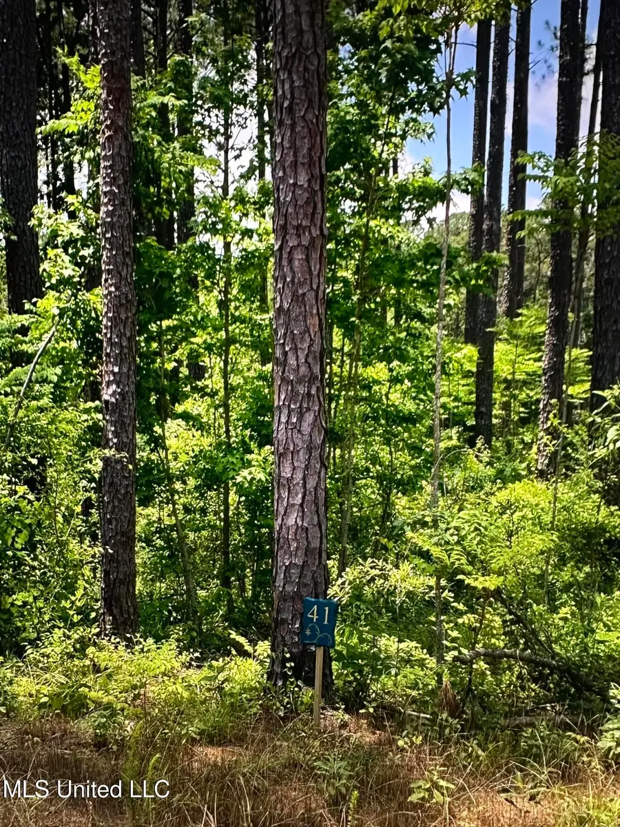 000 Apollo Way, Canton, MS 39046 - Image #3