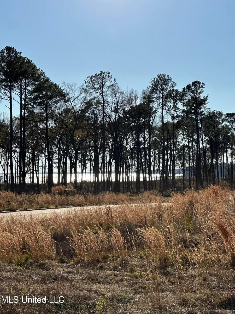 103 Venus Drive, Canton, MS 39046 - #3