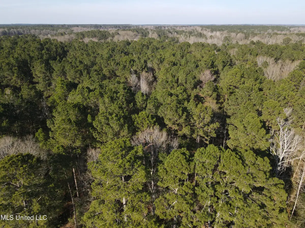 7729 N Hill Drive, Summit, MS 39666 - Image #1