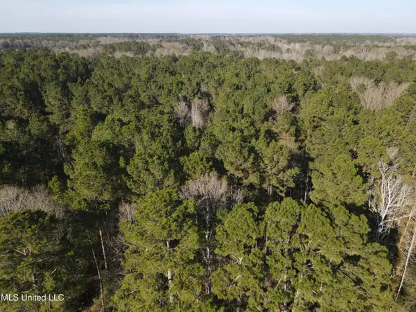 7729 N Hill Drive, Summit, MS 39666