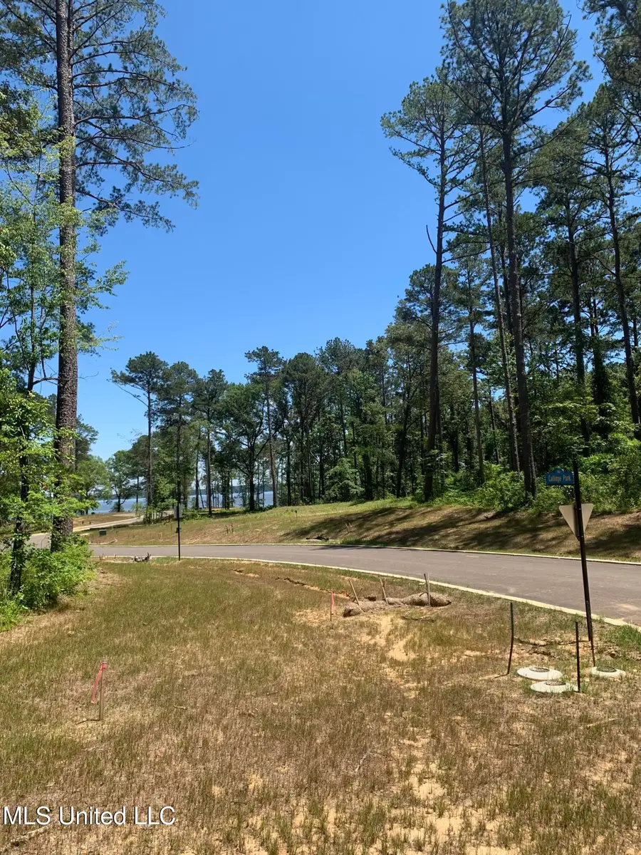 114 Calliope Park, Canton, MS 39046 - Image #3