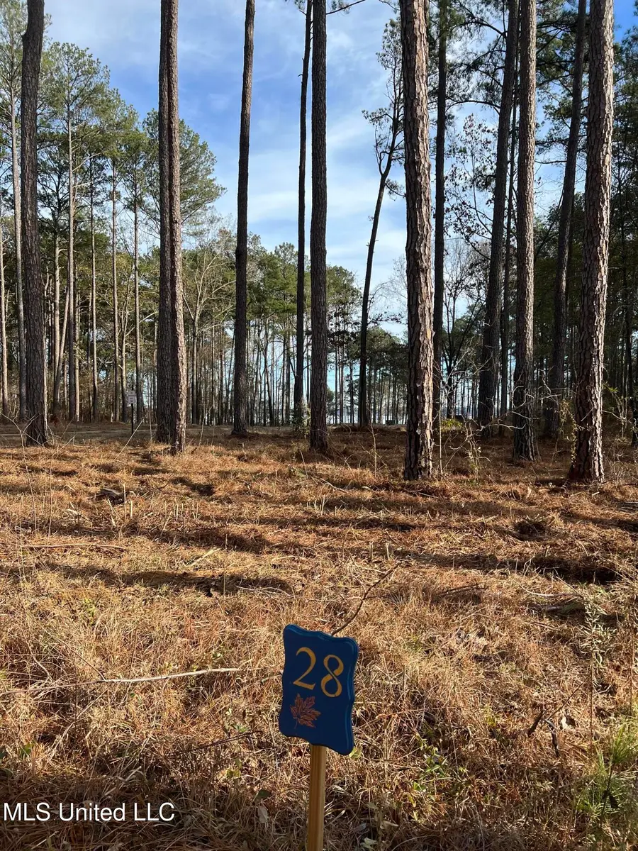 0 Apollo Way, Canton, MS 39046 - Image #3