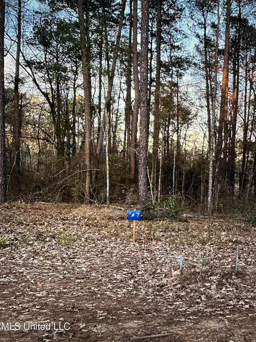 140 Apollo Way, Canton, MS 39046 - #3