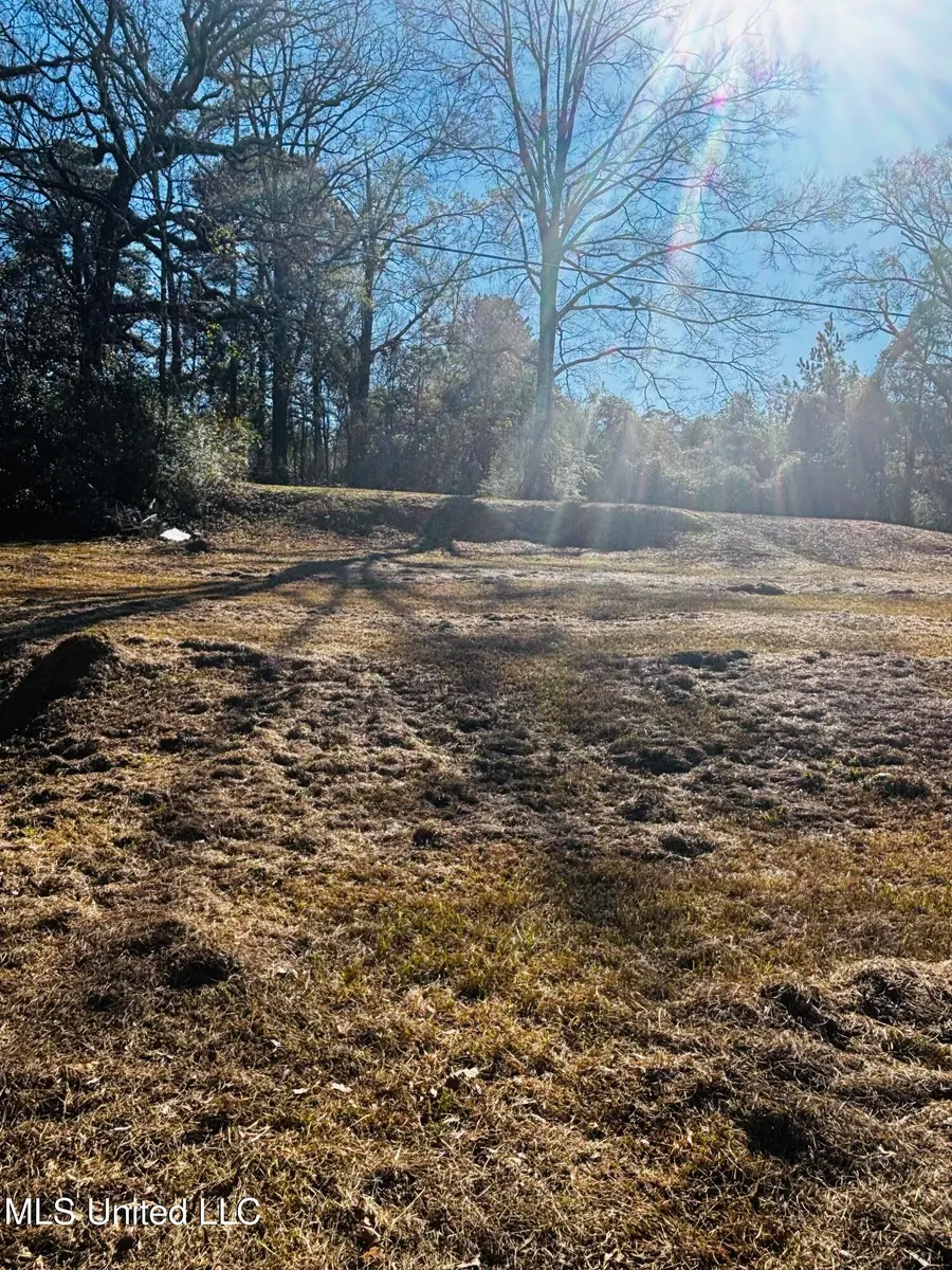 29 Agnew Street, Morton, MS 39117 - Image #3