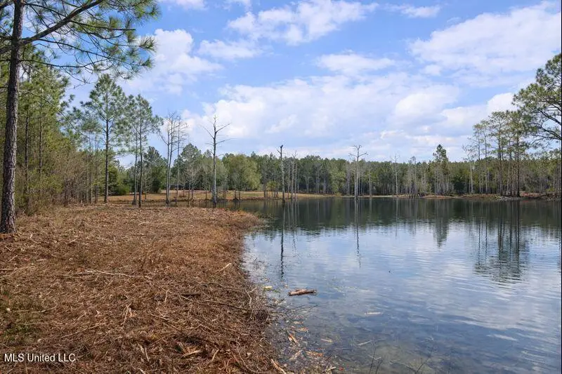 0 Road 311, Kiln, MS 39556 - Image #2