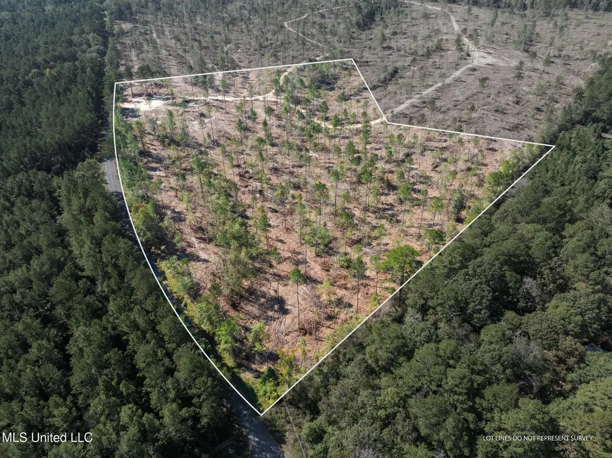 16.36 +/- Acres Noel Townsend Road, Seminary, MS 39479 - Image #1