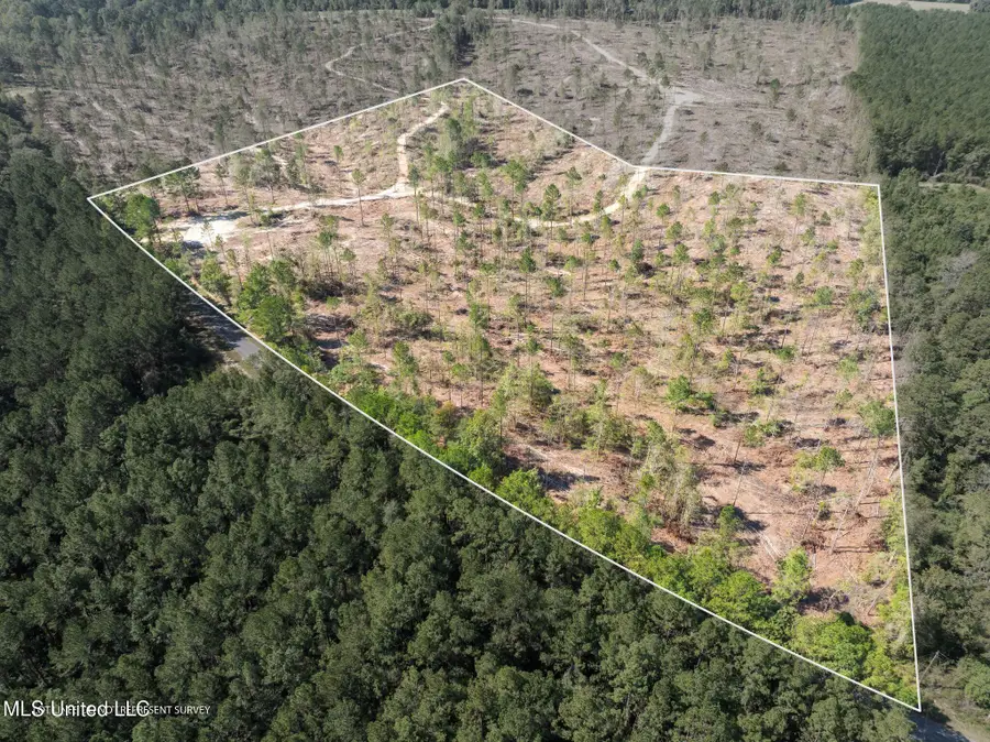 16.36 +/- Acres Noel Townsend Road, Seminary, MS 39479 - Image #2