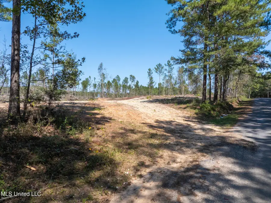 16.36 +/- Acres Noel Townsend Road, Seminary, MS 39479 - Image #3