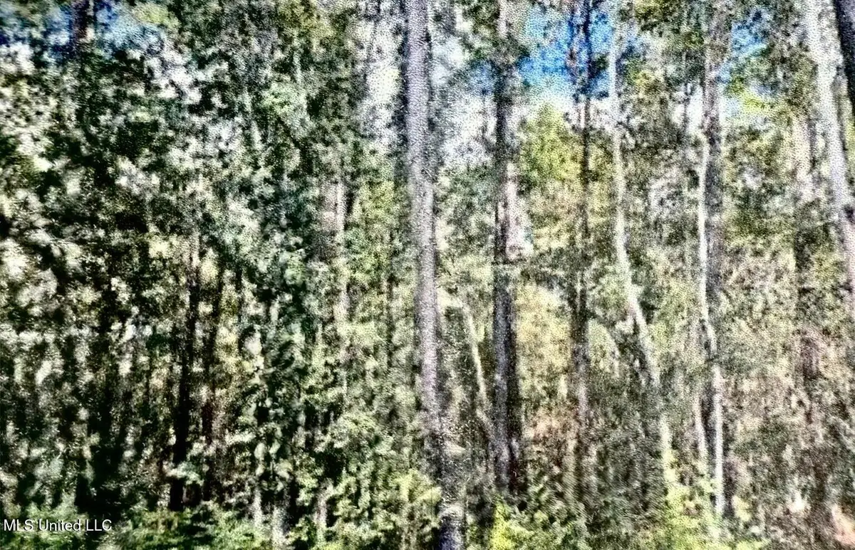 Jeff Road, Gulfport, MS 39503 - Image #1