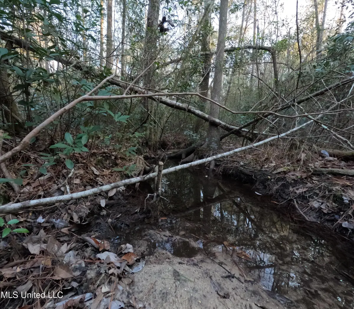 S County Line Road, Columbia, MS 39429 - Image #1