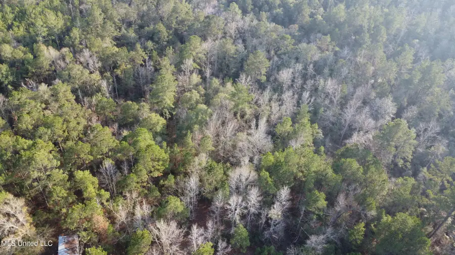 S County Line Road, Columbia, MS 39429 - Image #3