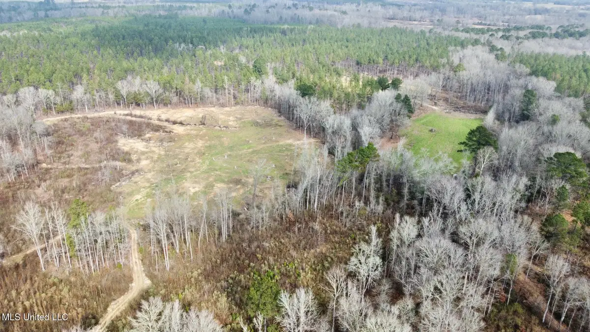 0 Wade Road, West, MS 39192 - Image #1