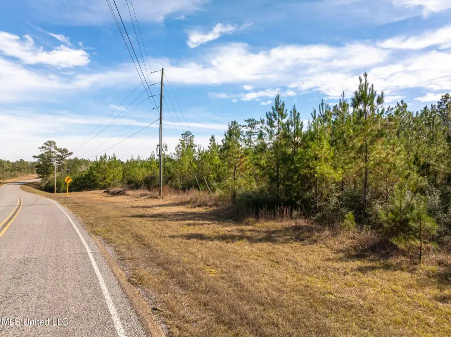 12.41 Acres Lott Town Road, Sumrall, MS 39482 - Image #3