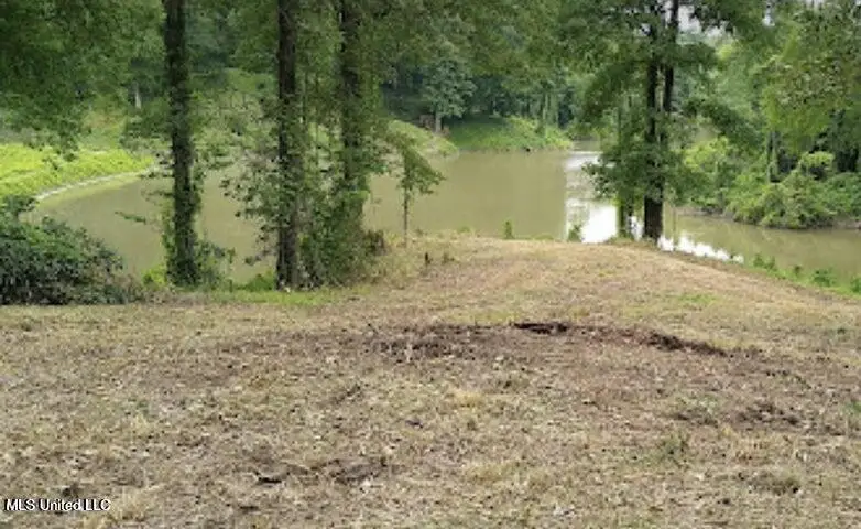 Woodland Lake Drive, Hernando, MS 38632 - Image #1
