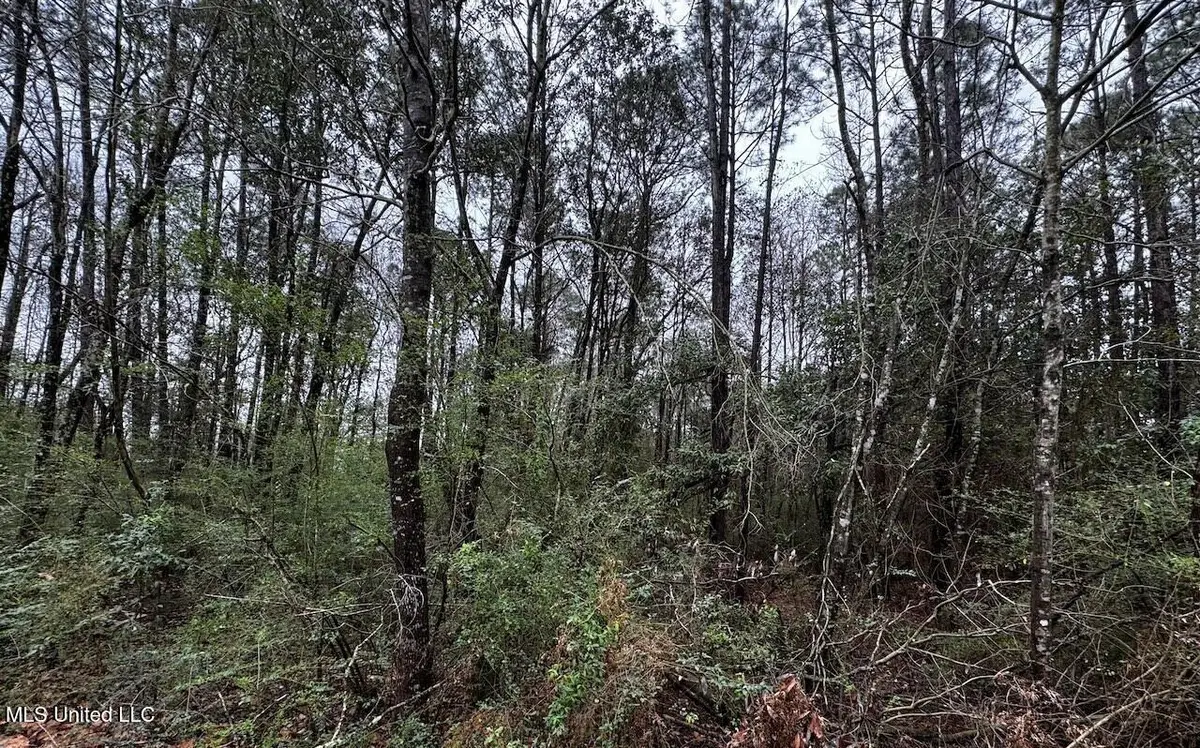 12310 Barbara Drive, Gulfport, MS 39503 - #1