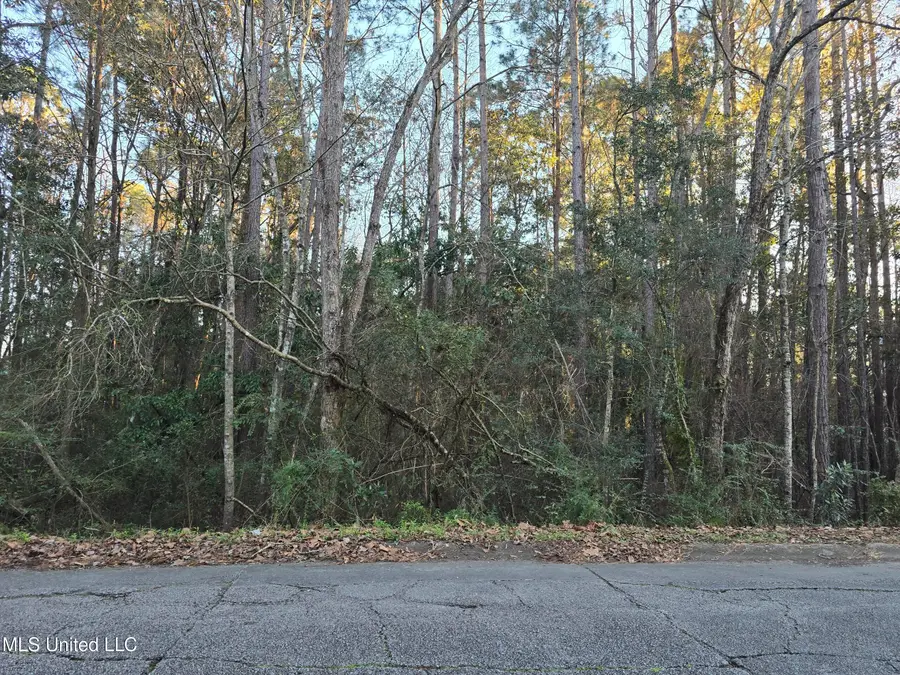 12310 Barbara Drive, Gulfport, MS 39503 - #3