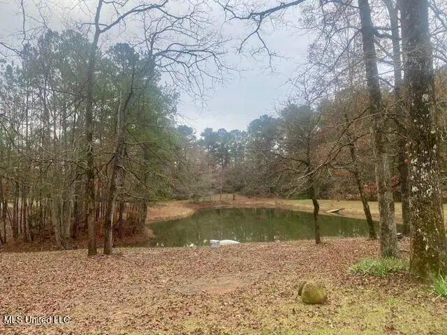 2171 Emerald Lane, Magnolia, MS 39652 - Image #3