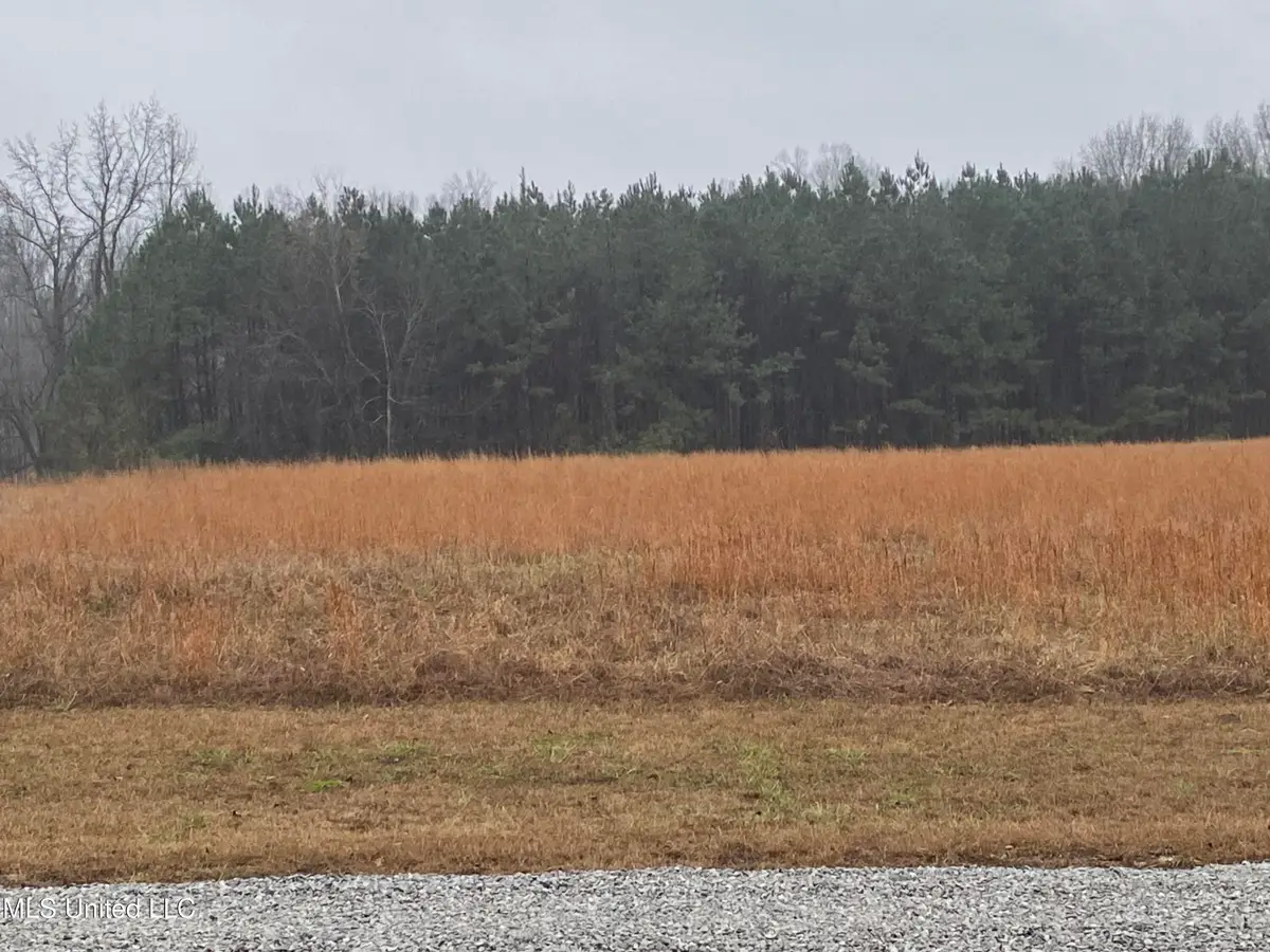 2603 Odom Road, Hernando, MS 38632 - Image #1