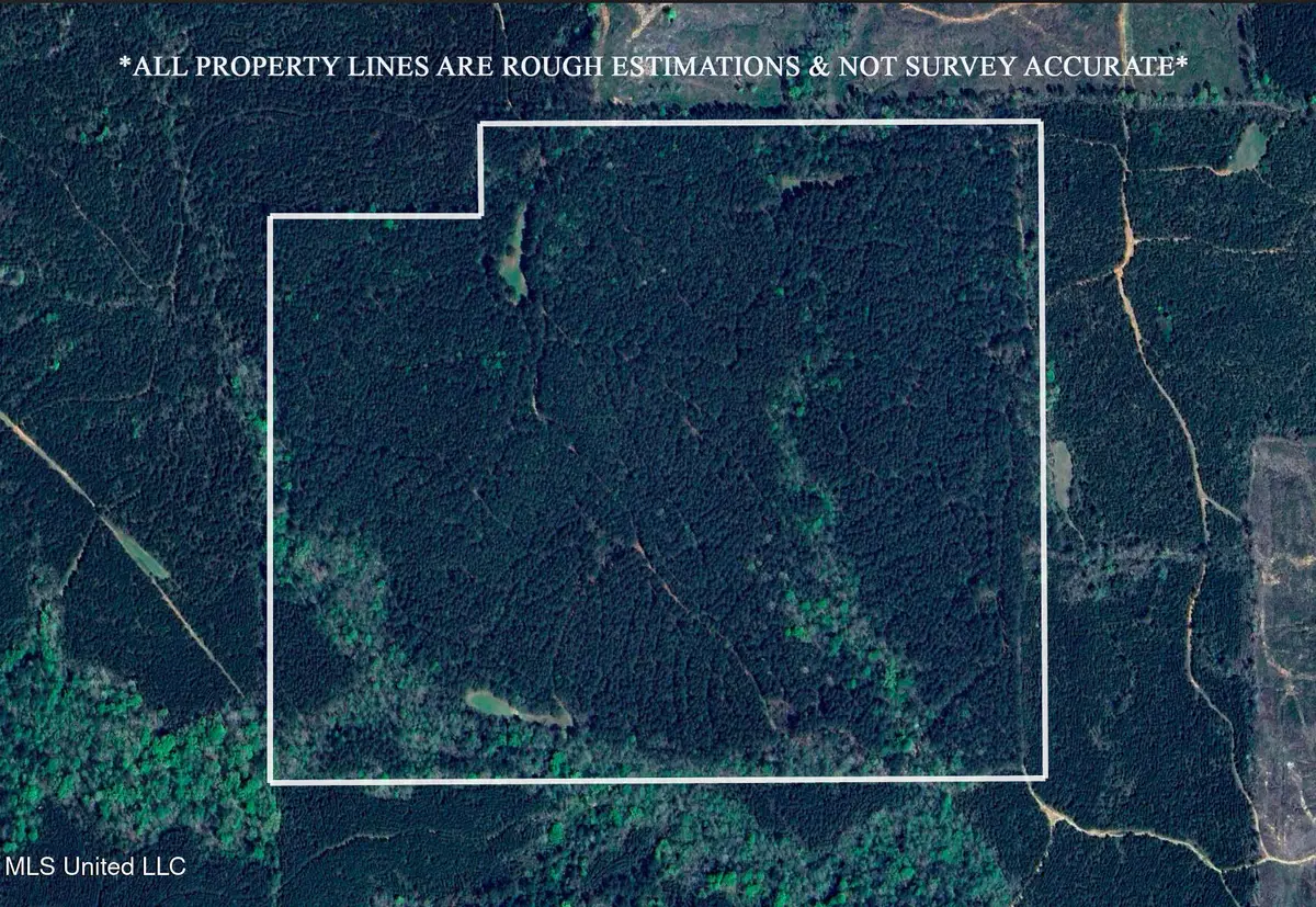 000 Liberty Church Road, Meridian, MS 39301 - Image #1